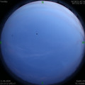1591892003.jpg