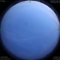 1591892078.jpg