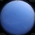 1591892138.jpg