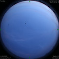 1591892198.jpg