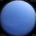 1591892258.jpg
