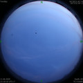 1591892318.jpg