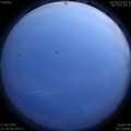 1591892378.jpg