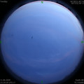 1591892994.jpg