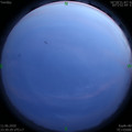 1591893054.jpg