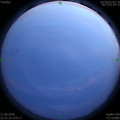 1591893114.jpg