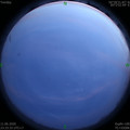 1591893234.jpg