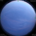 1591893849.jpg
