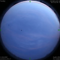 1591893969.jpg