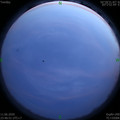 1591894029.jpg