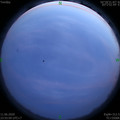 1591894524.jpg