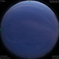 1591897946.jpg