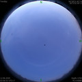 1591902448.jpg