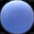 1591902688.jpg