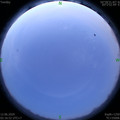 1591903049.jpg
