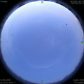 1591903229.jpg