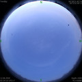 1591903499.jpg
