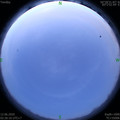 1591903619.jpg