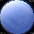 1591906020.jpg