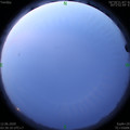 1591907431.jpg