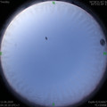 1591910312.jpg