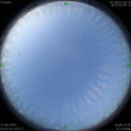 1591913043.jpg