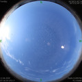 1591921132.jpg