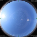 1591923068.jpg