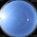1591923459.jpg