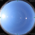 1591924239.jpg