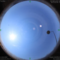 1591931142.jpg