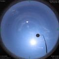 1591945384.jpg