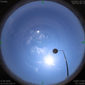 1591946150.jpg