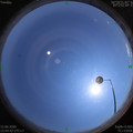 1591951492.jpg