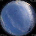 1591972458.jpg