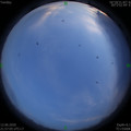 1591973838.jpg