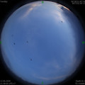 1591973898.jpg