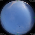 1591973958.jpg