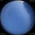 1591975234.jpg