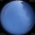 1591975789.jpg