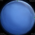 1591979811.jpg