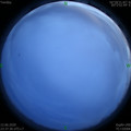 1591979871.jpg