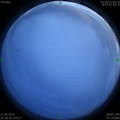 1591979931.jpg