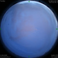 1591980802.jpg