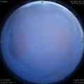 1591981177.jpg