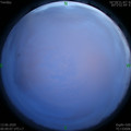 1591981237.jpg