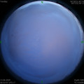 1591981417.jpg
