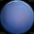 1591981537.jpg