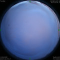 1591981672.jpg