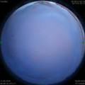 1591981732.jpg